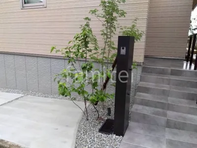 植栽 シンボルツリー 落葉樹 アオダモ 常緑樹 ハクサンボク