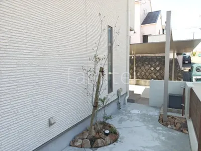 シンボルツリー アオダモ 落葉樹 植栽