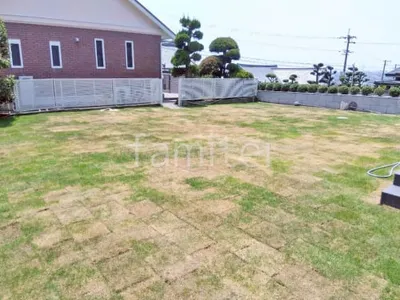 芝生張り 姫高麗芝