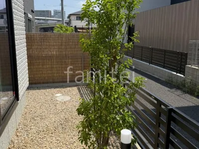 植栽 シンボルツリー 常緑樹 ソヨゴ