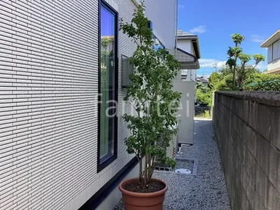 植栽 シンボルツリー 常緑樹 ソヨゴ