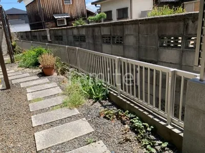 本体色 プラチナステン
