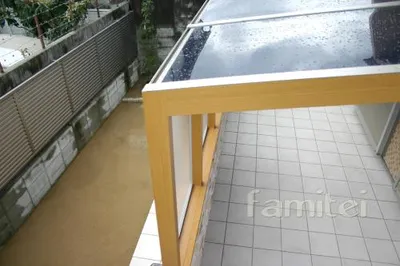 上から見たココマ