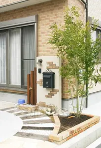 シンボルツリー:植栽/シマトネリコ