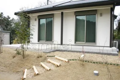 シンボルツリー　シマトネリコ　タマリュウライン