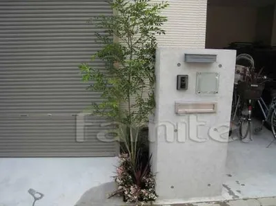 シンボルツリーパック　シマトネリコ(常緑樹)