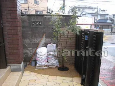 シンボルツリー(シマトネリコ)