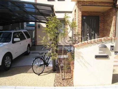 シンボルツリー・・・(シマトネリコ)