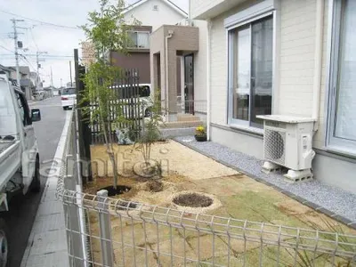 シンボルツリー　シマトネリコ