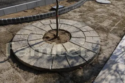 ユニソン キッツサークル