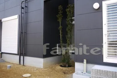 坪庭　植栽　常緑ソヨゴ