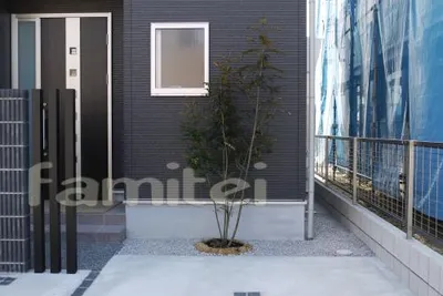 シンボルツリー 常緑シマトネリコ