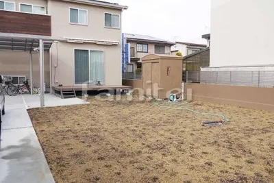 グランドカバー　ヒメイワダレソウ