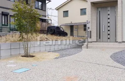 シンボルツリー 常緑シマトネリコ