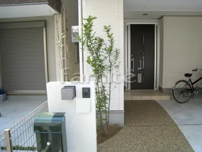 シンボルツリー シマトネリコ(常緑樹)