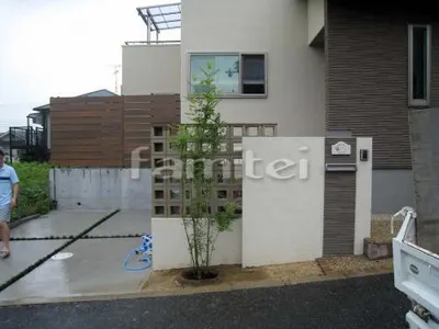 シンボルツリー ホンコンエンシス