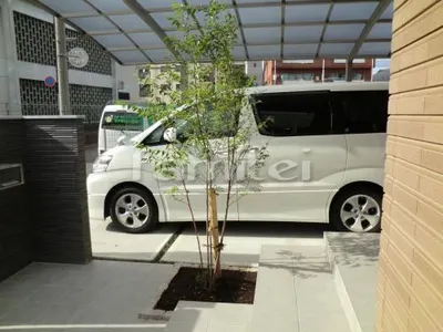 シンボルツリー 植栽 落葉エゴノキ