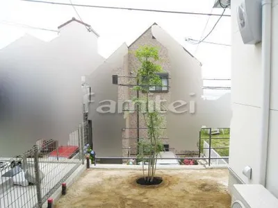 シンボルツリー 常緑樹シマトネリコ 植栽