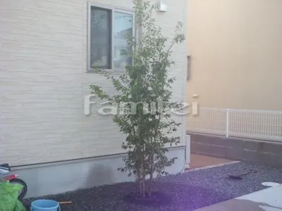  シンボルツリー 植栽 常緑ソヨゴ