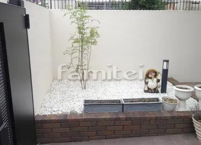 シンボルツリー シマトネリコ