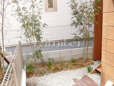 シンボルツリー シマトネリコ 常緑樹 下草 低木 植栽