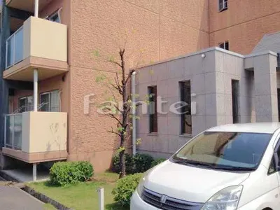 植木 葉刈り剪定