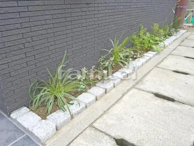 ピンコロ石花壇 ミカゲ 下草 植栽