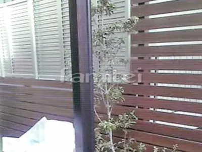 シンボルツリー ホンコンエンシス 常緑樹 植栽