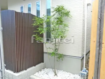 シンボルツリー シマトネリコ 常緑樹 植栽