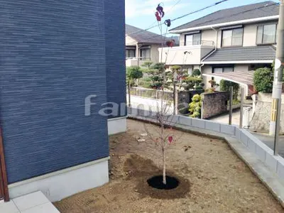 シンボルツリー ハナミズキ(赤) 落葉樹 植栽