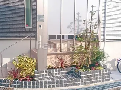 シンボルツリー ホンコンエンシス 常緑樹 下草 低木 植栽