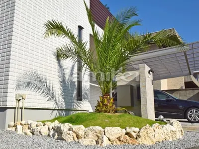 築山 芝生張り 姫高麗芝 ソテツ 支給品 石積み 琉球石灰岩