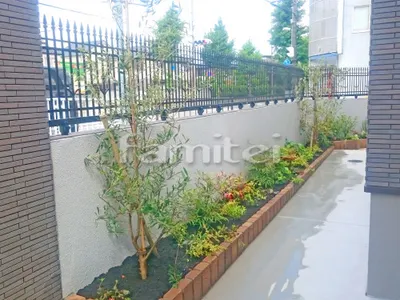 シンボルツリー オリーブ 常緑樹 下草 低木 植栽