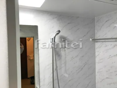 エアインシャワー