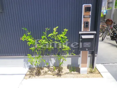 シンボルツリー ブルーベリー 植栽 落葉樹 低木 ローズマリー