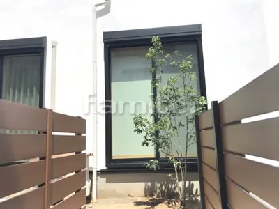 シンボルツリー ホンコンエンシス 常緑樹 植栽