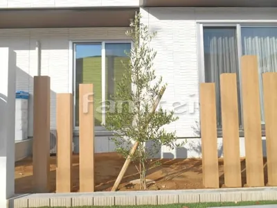 シンボルツリー オリーブ 常緑樹 植栽