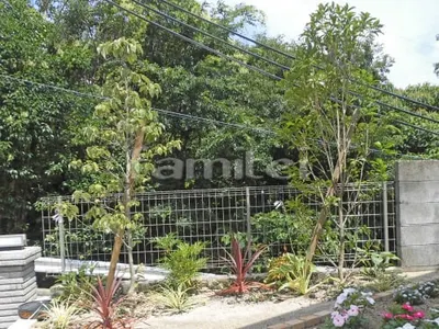 シンボルツリー 下草 低木 植栽