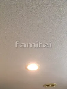 けいそう天井　柄なし 洗面所