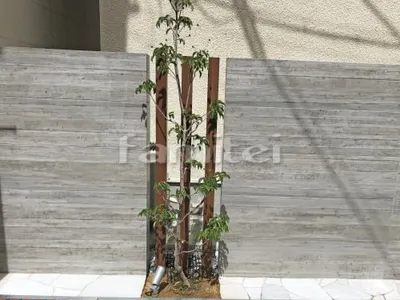 シンボルツリー ホンコンエンシス 常緑樹 植栽 木製調デザインアルミ角柱 LIXILリクシル デザイナーズパーツ枕木材