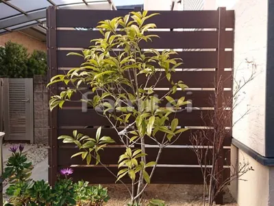 人工木・樹脂 フェンス（木調） F＆F マイティウッド ベーシック極 高尺タイプ 目隠し 木調・ラティス 樹脂