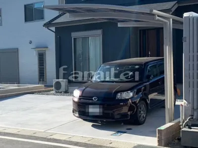 本体色 プラチナステン