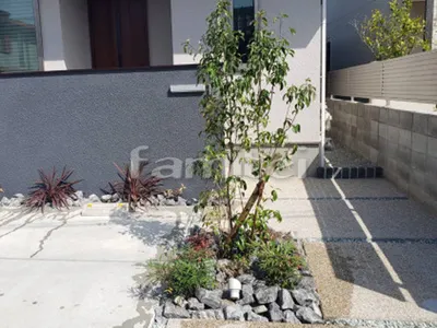 シンボルツリー ヤマボウシ 落葉樹 植栽