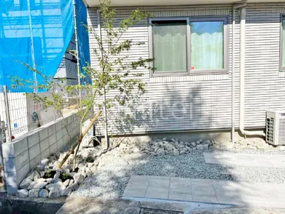 シンボルツリー イロハモミジ 落葉樹 植栽