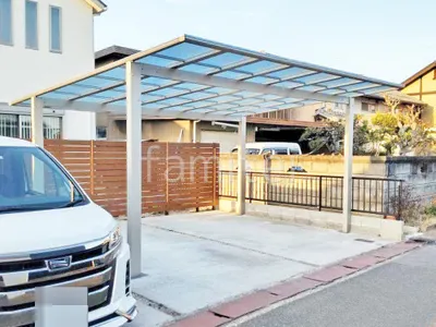 本体色 プラチナステン