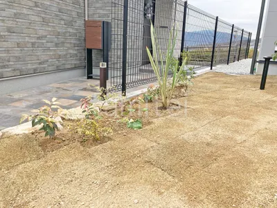 下草 低木 植栽