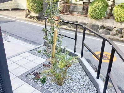 シンボルツリー ソヨゴ 常緑樹 植栽