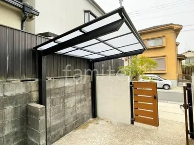 本体色 ブラック