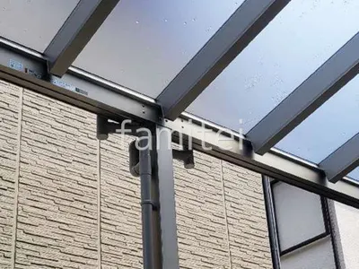 本体色 プラチナステン