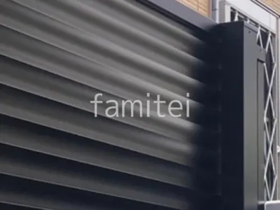 本体色：ブラック